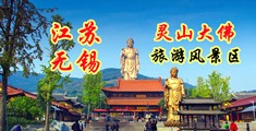 国产刺激www江苏无锡灵山大佛旅游风景区